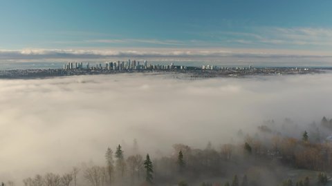 Aerial view of sun shining over pine tree forest covered by fog in Burnaby, British Columbia, Canada