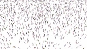 animation camera movement between a crowd of colorful people, with white isolated background