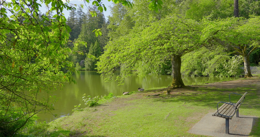Establishing shot of bench in park with small pond and path in slow motion at summer day in Vancouver, Canada, North America. Day time on May 2021. Still camera. ProRes 422 HQ.