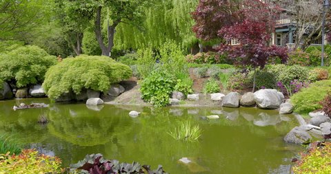 Establishing shot of nice water landscape and green background in Vancouver, Canada, North America. Nice landscape, pond and rocks. Sunny. Day time on June 2021. Still camera view. ProRes 422 HQ.