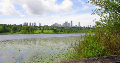 Establishing shot of nice water landscape and green background in Vancouver, Canada, North America. Nice landscape, pond and rocks. Sunny. Day time on June 2021. Still camera view. ProRes 422 HQ.