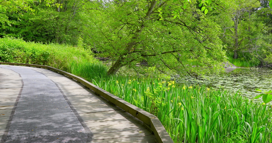 Establishing shot of trail in park in slow motion at summer day in Vancouver, Canada, North America. Day time on May 2021. Still camera. ProRes 422 HQ.