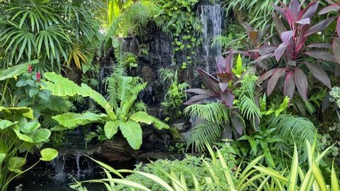 The beauty of a green garden and a small waterfall