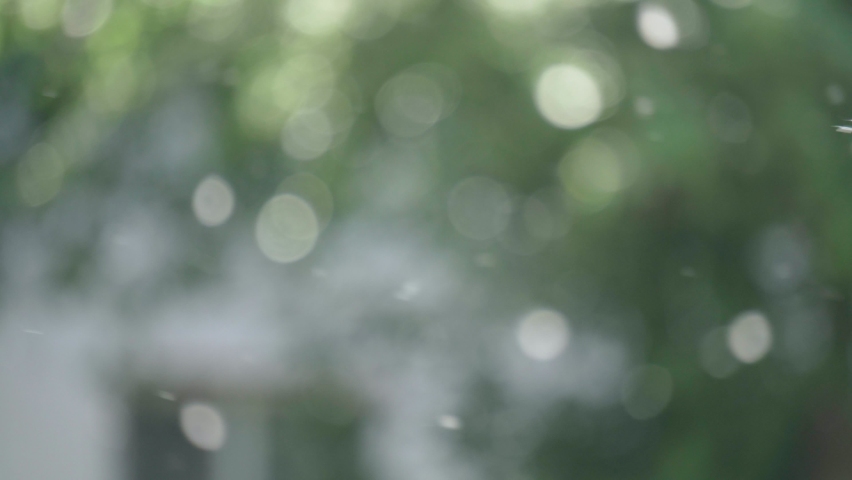 Poplar fluff in the air. Concept allergy to flowering plants. defocusing