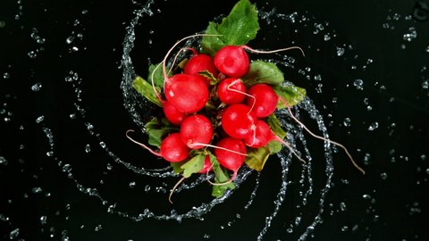 Rotating fresh radish with water drops, super slow motion, isolated on black background