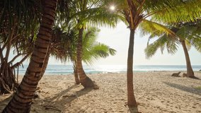 Amazing coconut palm trees frame on clear wild white sand beach on paradise Phuket island Karon beach Thailand, Beautiful video for Summer background and travel website Beautiful island