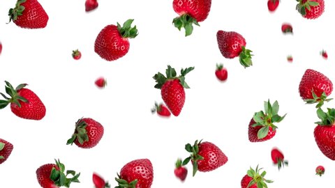 many fresh red strawberries wiggle on a white background. seamless looping animation
