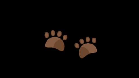 Bear Foot Print Flat Animated Icon, Travel and Vacation Concept Icon. Isolated on Transparent Background, 4K Ultra HD ProRes 4444, Video Motion Graphic Animation.