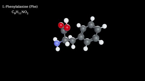 Lphenylalanine Amino Acids 3d Animation Loop Stock Footage Video (100%  Royalty-free) 23488615 | Shutterstock