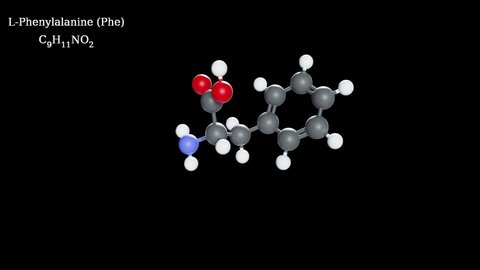 Lphenylalanine Amino Acids 3d Animation Loop Stock Footage Video (100% Royalty-free) 23488615 | Shutterstock Lphenylalanine Amino Acids 3d Animation Loop Stock Footage Video (100% Royalty-free) 23488615 | Shutterstock