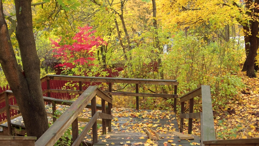 View from wooden walkway of beautiful forest park in autumn