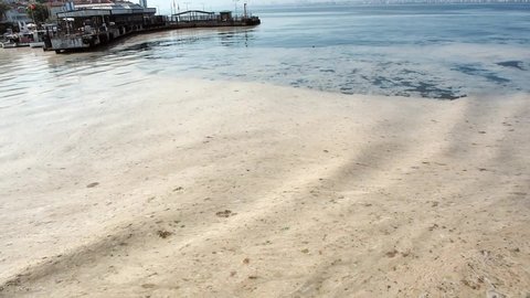 Mucilage sea saliva affecting the Marmara Sea Turkey istanbul islands marmara sea 8 June 2021