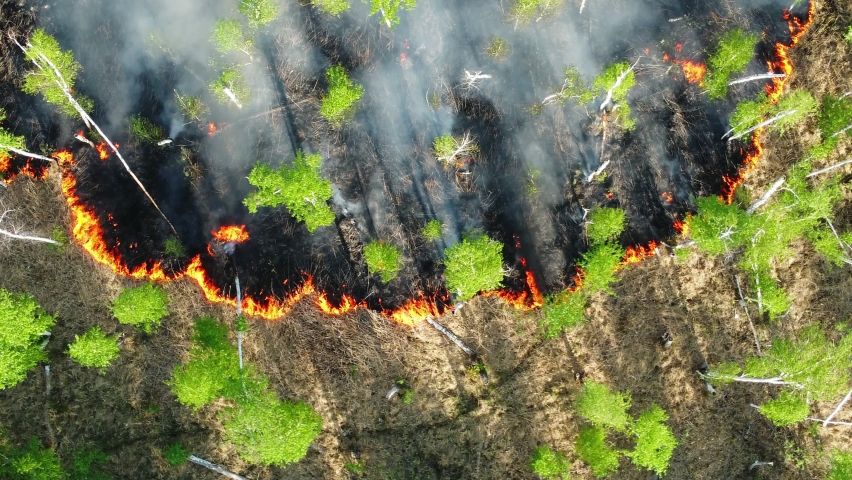 Wildfire aerial view. uncontrolled wild fire in forest area. wildfire smoke caisung air pollution. nature, environment, ecology, earth. global climate change concept. | Shutterstock HD Video #1074512198