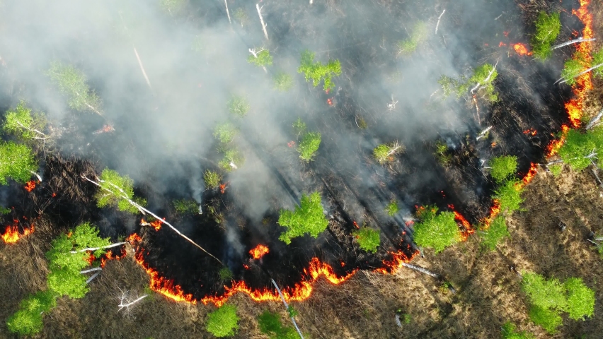 wildfire aerial view. uncontrolled wild fire in forest area. wildfire smoke caisung air pollution. nature, environment, ecology, earth. global climate change concept. Royalty-Free Stock Footage #1074512198