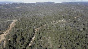 Drone aerial footage of a large industrial colliery in a forest affected by bushfires