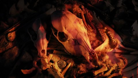 Animals Skulls And Tools In Fire Survival Concept