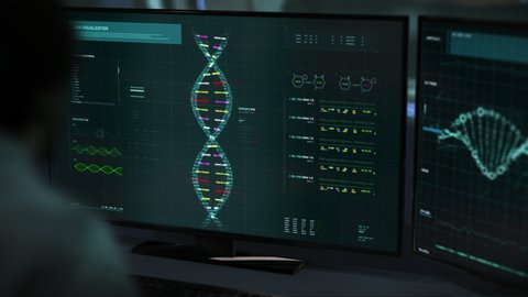 A Doctor is Performing the DNA Research using the Laboratory Software. A Doctor is Examining DNA Research to find errors in the Genetic Code. A Doctor is studying DNA Research. User Interface.