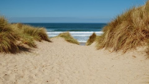 Walking along Bamburgh Castle beach, a pristine, sandy beach, backed by sand dunes in Northumberland, England, UK