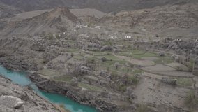Apricot blossom at high Himalaya desert and cold mountain area in Ladakh (India). 
(4k log raw video)