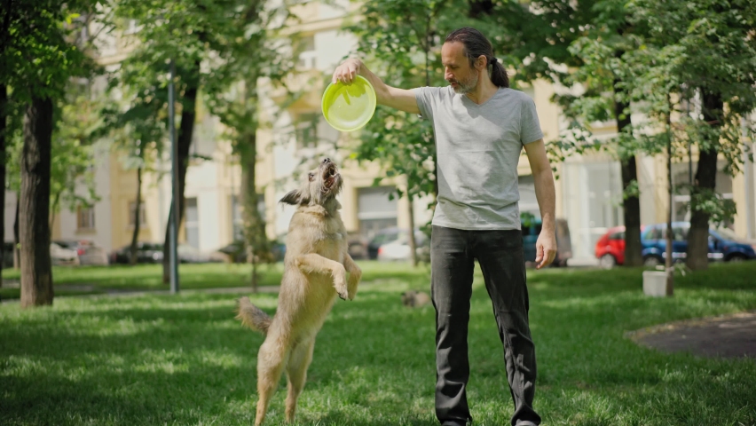 Cinematic footage of a handsome bearded man playing with his dogs on a park lawn near the home. Flying Disc Dog Training.