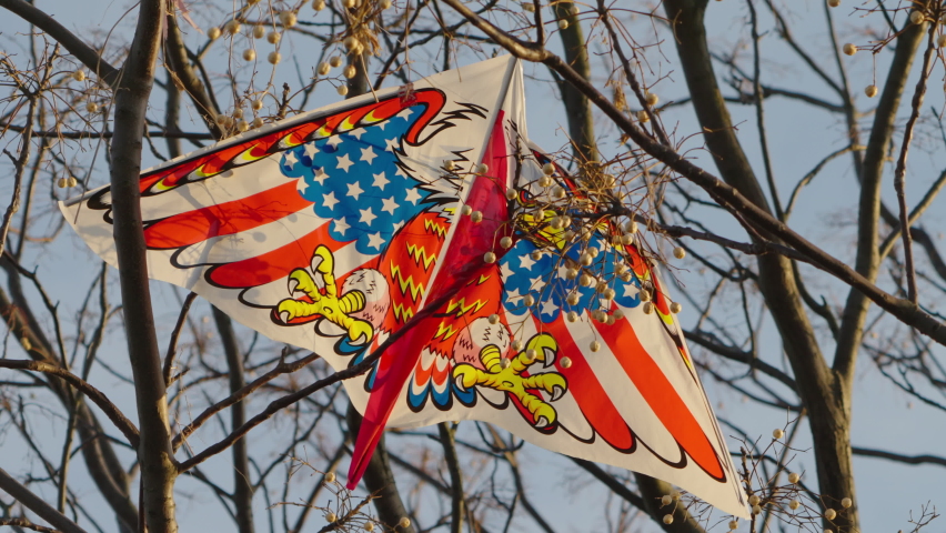 A Fallen Kite Trapped On The Tree With An American Flag Decal In A Park Near Tokyo, Japan - low angle, close up Royalty-Free Stock Footage #1074565331