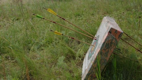 a young guy shoots a bow at a target, in nature, and hits the target, the arrow pierces the target for flight, pulls the bowstring tightly for a shot. Prores 422