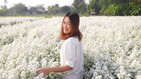 Happy Asian woman enjoy outdoor lifestyle travel nature walking in beautiful white cutter daisy flowers field in springtime. Attractive girl touching and stroking fresh white blossom in flowers garden - Powered by Shutterstock - Get 15% off with code: PIKWIZARD15