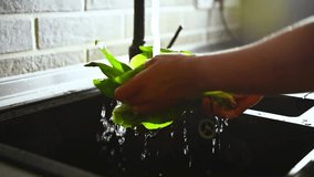 Close-up of a woman washing spinach leaves in the kitchen sink. Video materials. Healthy vegan food concept. Footage. Slow motion