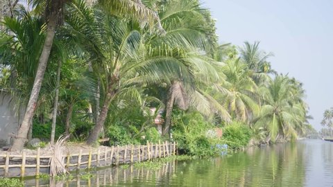 Shot from a boating slowly along the kerala backwaters in the heat of the day with palm trees lining the bank