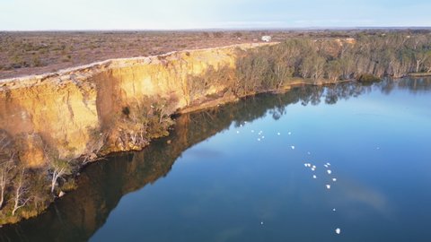 aerial view of the murray river and a flock of cockatoos at big bend in south australia