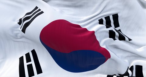 Detail National Flag South Korea Flying Stock Footage Video (100% ...