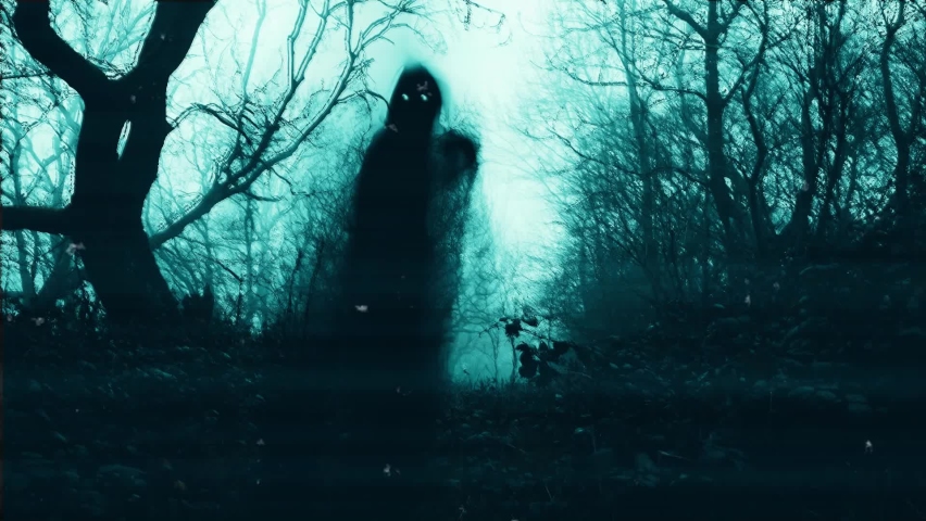 A horror concept of a hooded entity with glowing eyes. In a spooky forest on a misty day in winter. With a blurred, glitch edit. Royalty-Free Stock Footage #1074669098