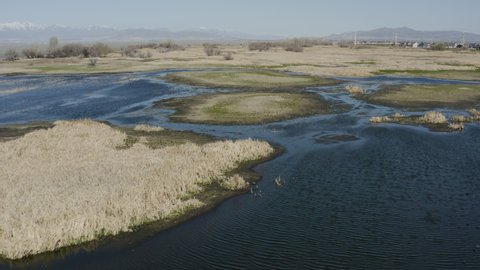Powell Slough Wetlands of Utah Lake during Summer Drought - Aerial