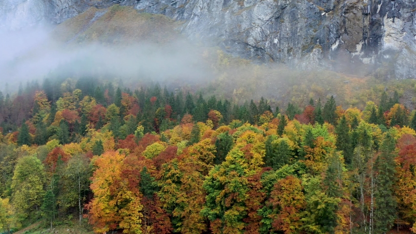 Beautiful Aerial shot of forest in fall season with mountains on the background. The autumn colors. foggy morning. Lauterbrunnen, Switzerland