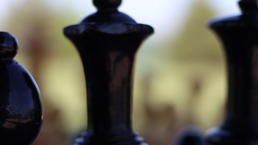 Macro tops of back rank in a game of chess.