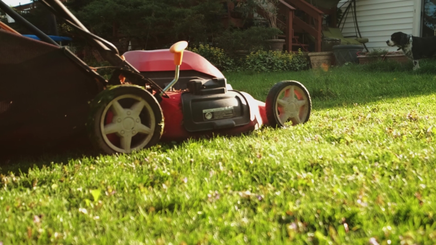 Close up shot of A man mows the grass in the backyard with an electric lawn mower. Slow motion Royalty-Free Stock Footage #1074683987