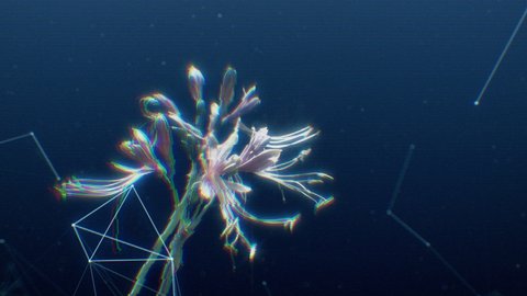 Hologram, Nature and Technology Flower on the deep blue background 4k