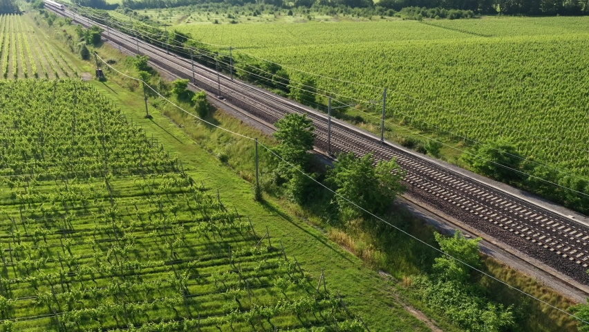 Flying over a train in motion. Traffic red train aerial view. The movement of a red train at high speed between the vineyards, top view.  Royalty-Free Stock Footage #1074705755