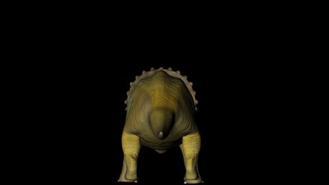 Triceratops Dinosaur in Rotation on Black Background