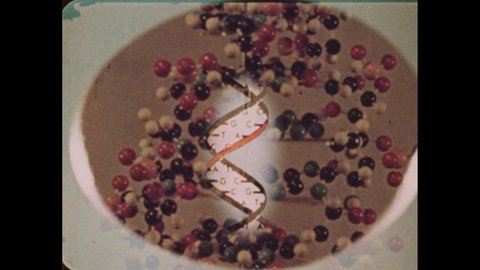 1970s: Model of DNA rotates. Mushrooms on a log. Cactus. Orchid. Jellyfish. Coral. Sea slug.