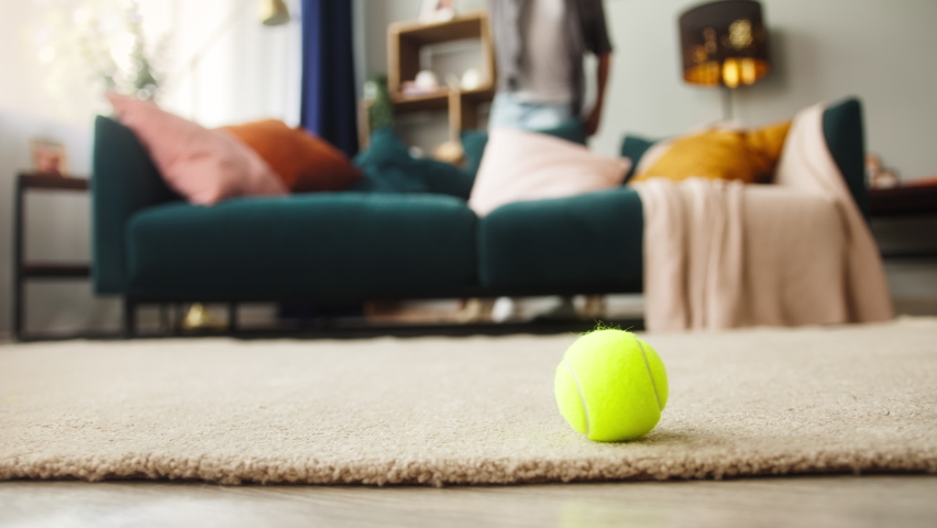 Close-up of golden retriever running after small ball in living-room. Man training his dog, puppy runs after toy. Playing and spending time together with beloved pet at home during lockdown.  Royalty-Free Stock Footage #1074740918