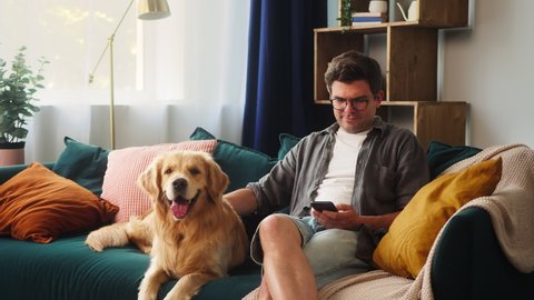 Man in glasses sitting and golden retriever lying on sofa in living-room, guy using smartphone, chatting, petting his obedient dog. Puppy breathing with tongue out, waiting for his owner, relaxing. 