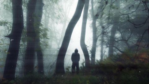A scary hooded figure, silhouetted in a forest on a moody misty autumn forest. With an atmospheric, zoom, glitch edit