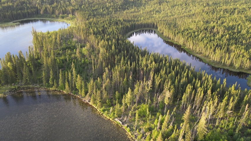 Drone flying high above a boreal forest with a small lake. Late evening sun highlights the trees.

