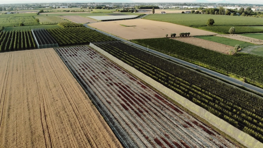 Aerial view with agricultural fields and orchards intersected by narrow roads, somewhere in central Italy.