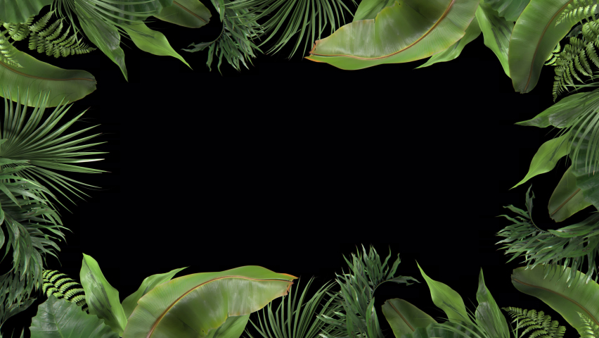 frame from tropical plants moving in the wind in a loop animation with alpha channel Royalty-Free Stock Footage #1074782108