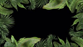 frame from tropical plants moving in the wind in a loop animation with alpha channel