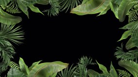 frame from tropical plants moving in the wind in a loop animation with alpha channel - Powered by Shutterstock - Get 15% off with code: PIKWIZARD15
