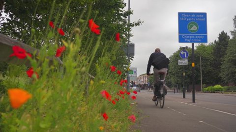 Clean air zone, Birmingham.
Cycle path and flowers by a Clean air zone sign in Birmingham, England.