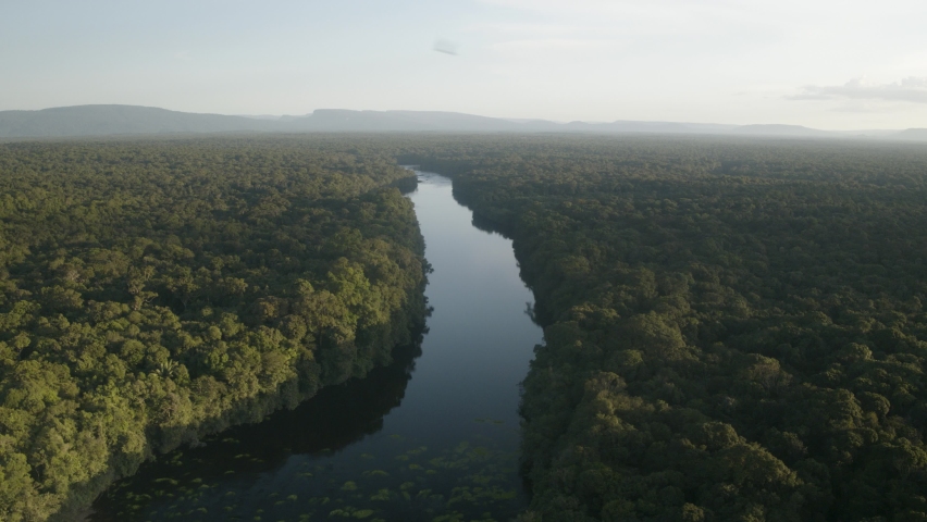 Beautiful View of Amazon Rainforest and River - Kaieteur Falls Guyana South America 
